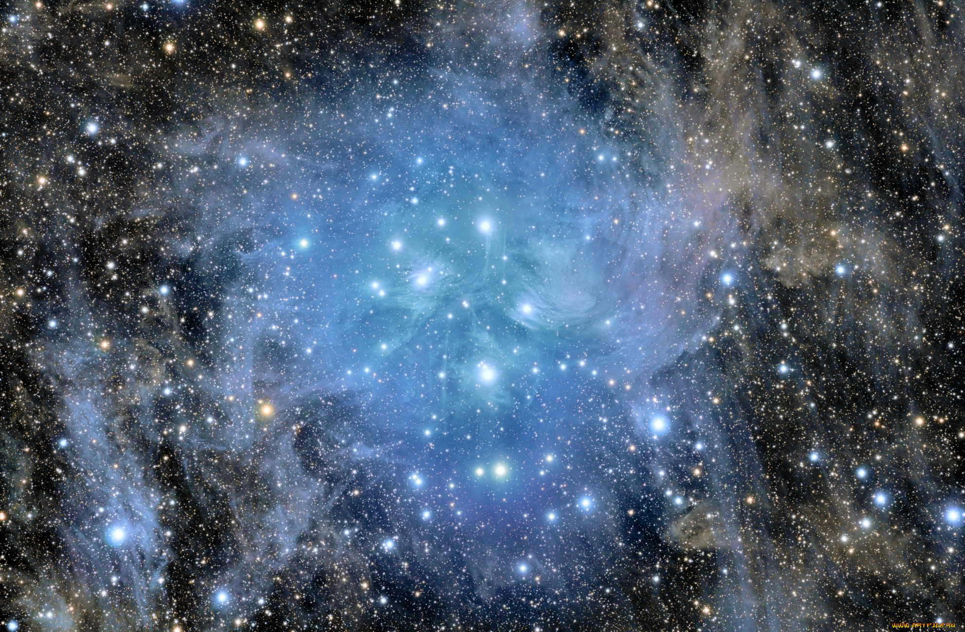 , , , m45, , 